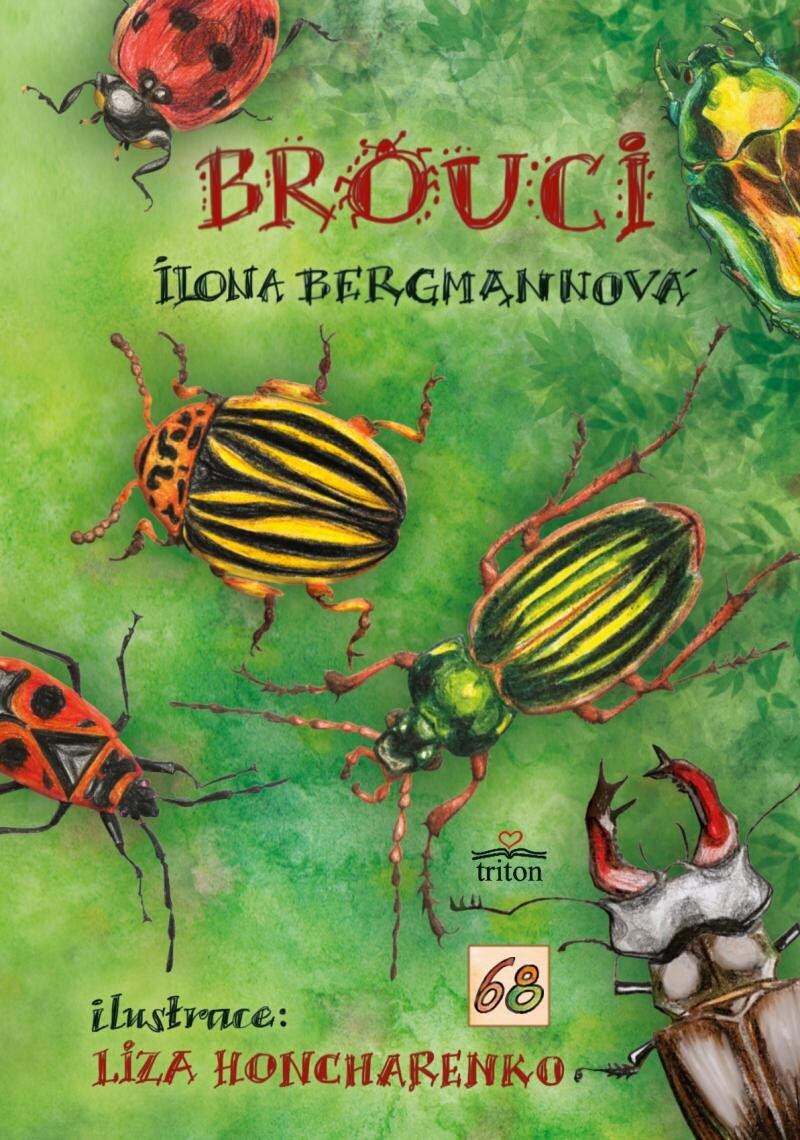 Brouci