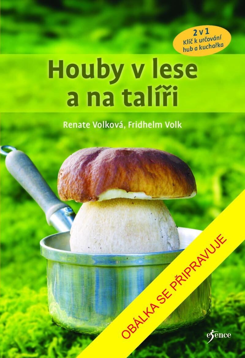 Levně Houby v lese a na talíři