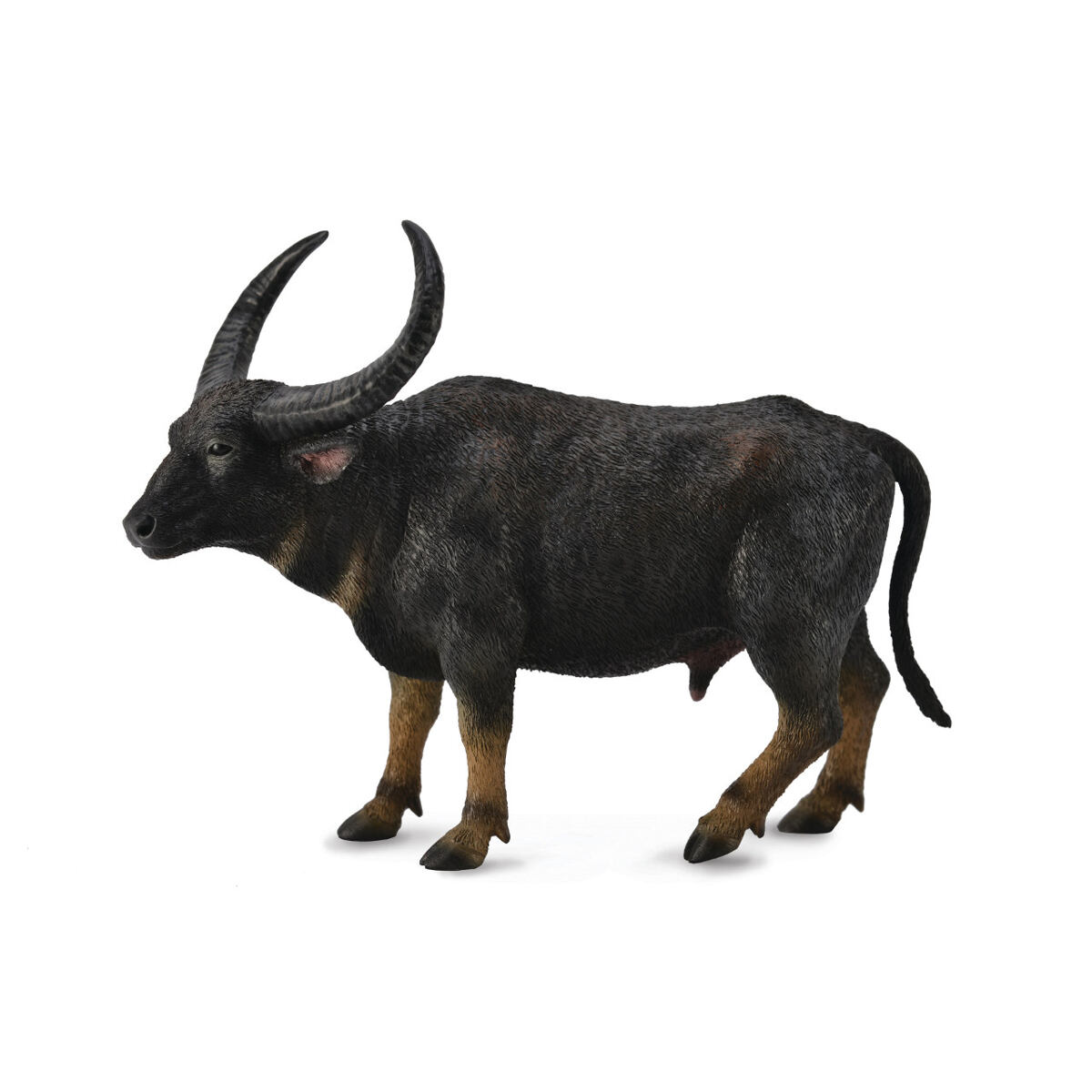 COLLECTA Arni - divoký byvol indický