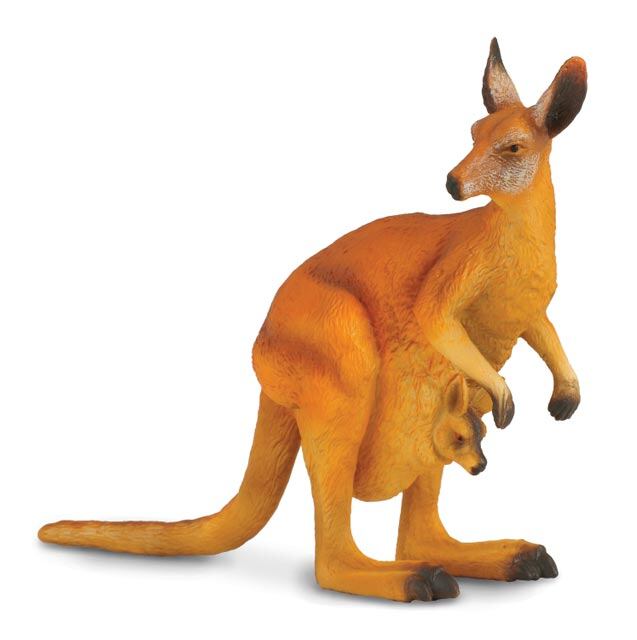 COLLECTA Klokan