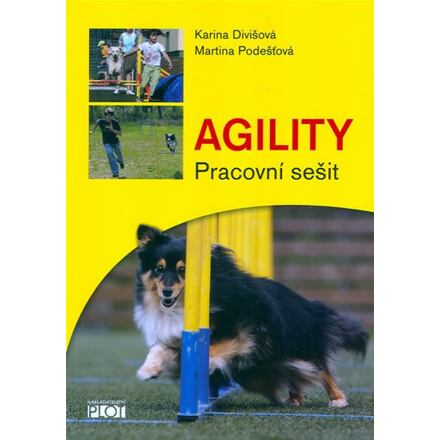 Agility - Pracovní sešit