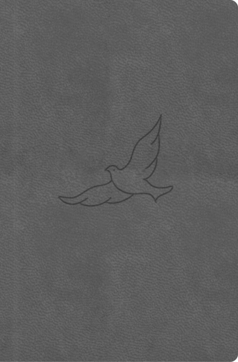 Bible21 – kapesní