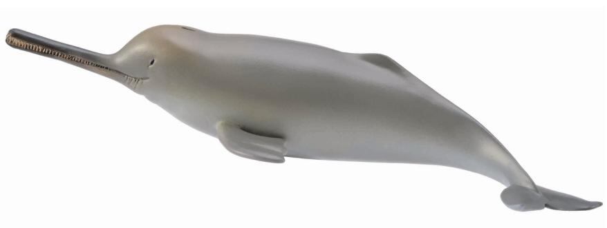 COLLECTA Delfínovec ganžský