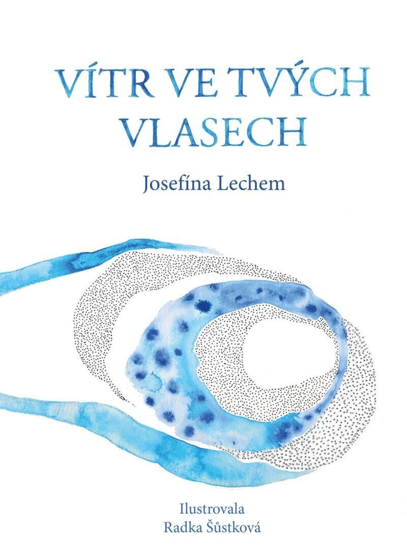 Levně Vítr ve tvých vlasech