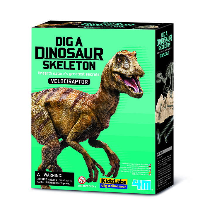 4M Dinosauria kostra - Velociraptor