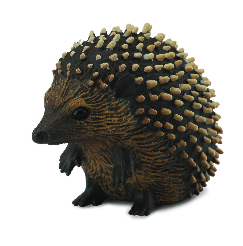 COLLECTA Ježko
