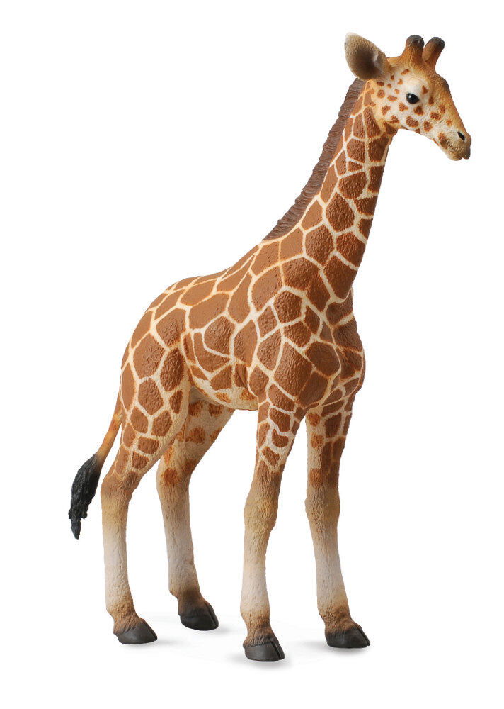 COLLECTA Žirafa - mláďa