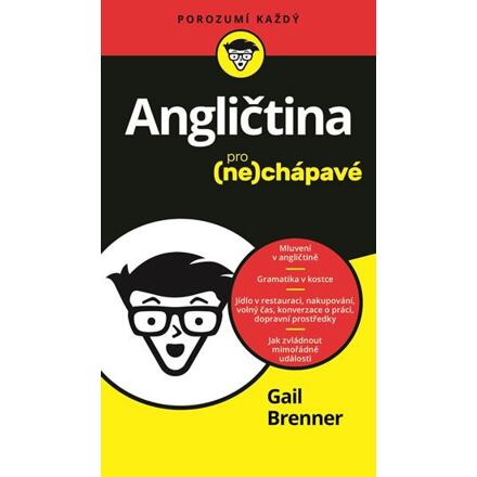 Angličtina pro nechápavé