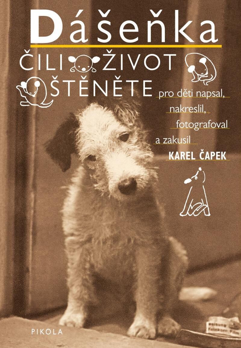 Levně Dášeňka čili Život štěněte