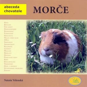 Morče - Abeceda chovatele