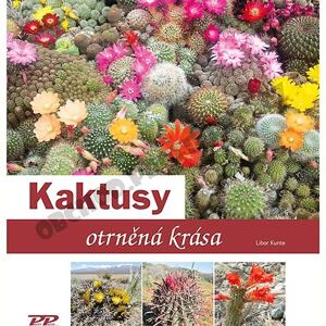 Kaktusy - Otrněná krása