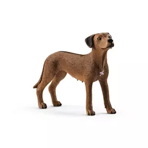 Schleich Zvieratko - pes ridgback rhodésky