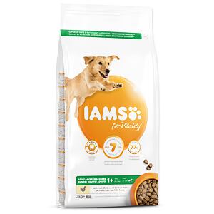 IAMS Dog Adult Large Chicken 3 kg