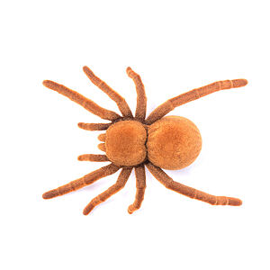 MAGANA Vibrující pavouk