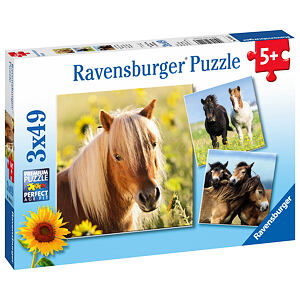 Ravensburger Kone 3x49 dielikov