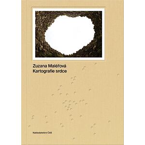 Kartografie srdce