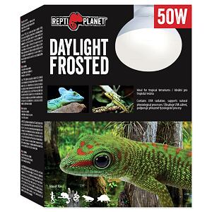 Žárovka REPTI PLANET Daylight Frosted 50 W