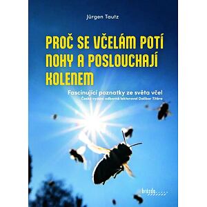 Proč se včelám potí nohy a poslouchají kolenem