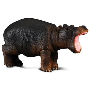 COLLECTA Hroch mládě