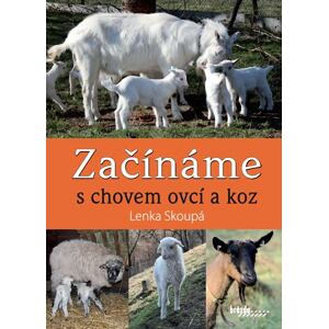 Začínáme s chovem ovcí a koz