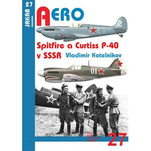 Spitfire a Curtiss P-40 v SSSR