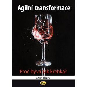 Agilní transformace - Proč bývá tak křehká?