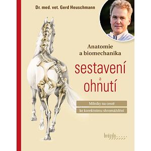 Anatomie a biomechanika sestavení a ohnutí - Milníky na cestě ke korektnímu shromáždění