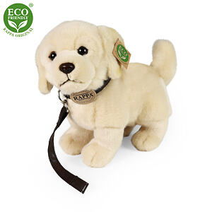 Rappa Plyšový pes zlatý retrívr stojící s vodítkem 25 cm ECO-FRIENDLY