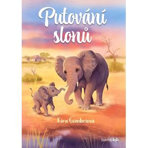 Putování slonů
