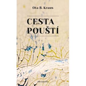 Cesta pouští