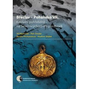 Břeclav – Pohansko VII. Kostelní pohřebiště na Severovýchodním předhradí