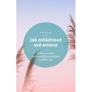 Jak ovládnout své emoce - Krok za krokem k pozitivnějšímu prožívání každého dne
