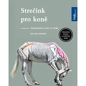 Strečink pro koně - Protahovací cviky ze země