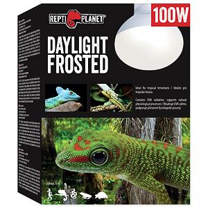 Žárovka REPTI PLANET Daylight Frosted 100 W