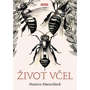 Život včel