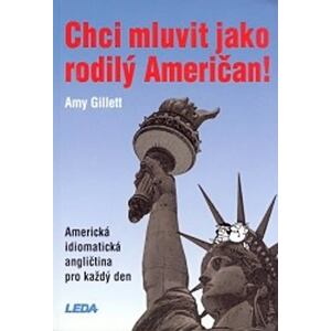 Chci mluvit jako rodilý Američan! - Amerikcá idiomatická angličtina pro každý den