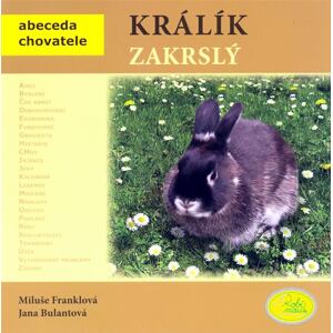 Králík zakrslý - Abeceda chovatele