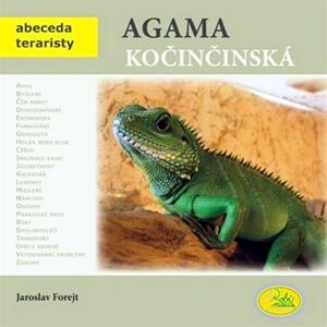 Agama kočinčinská - Abeceda teraristy
