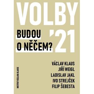 Volby 2021 - Budou o něčem?