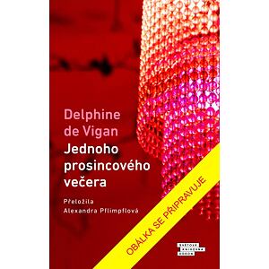 Jednoho prosincového večera
