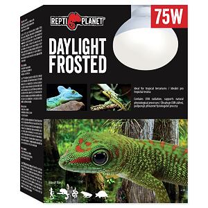 Žárovka REPTI PLANET Daylight Frosted 75 W