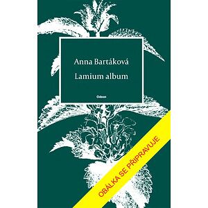 Lamium album