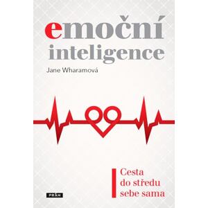 Emoční inteligence - Cesta do středu sebe sama