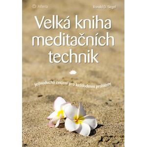 Velká kniha meditačních technik - Jednoduchá cvičení pro každodenní problémy