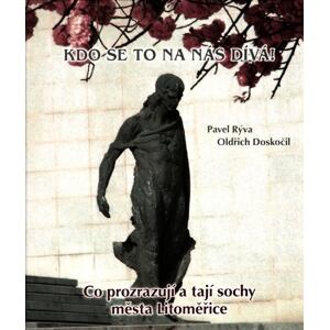 Kdo se to na nás dívá! - Co prozrazují a tají sochy města Litoměřice
