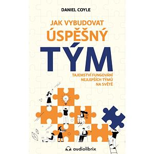 Jak vybudovat úspěšný tým - Tajemství fungování nejlepších týmů na světe
