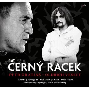 Černý racek