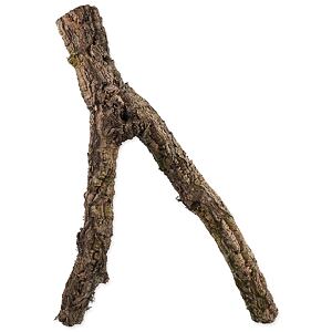 Dekorace Repti Planet Korková větev M 30-60 cm