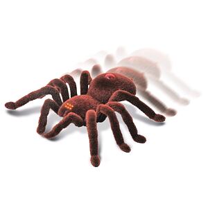 MAGANA Strašlivý pavouk