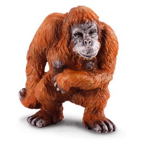 Collecta Orangutan